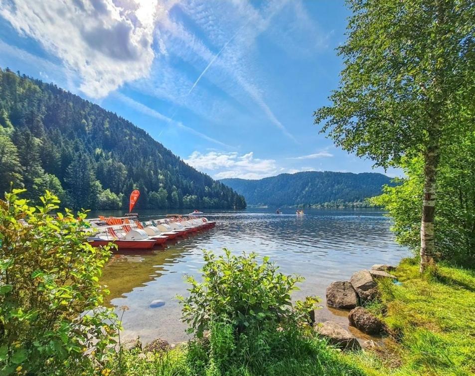 Gite Spa "La Foret Argentee" Proche Gerardmer Laveline-du-Houx Buitenkant foto