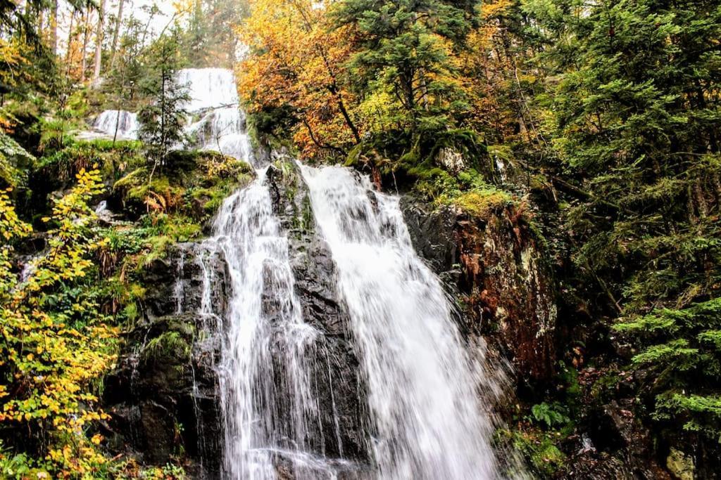 Gite Spa "La Foret Argentee" Proche Gerardmer Laveline-du-Houx Buitenkant foto